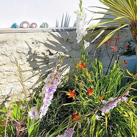Hotel Clos Des Aigrettes -appartements A 30m Du Port De La Cotiniere , Ile D Oleron -commerces Et Plages A Pied 4*